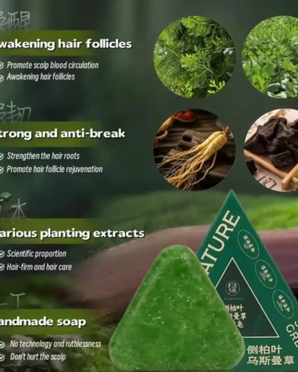 Nature Herbal Triangle Platycladus Usman Grass Shampoo Bar